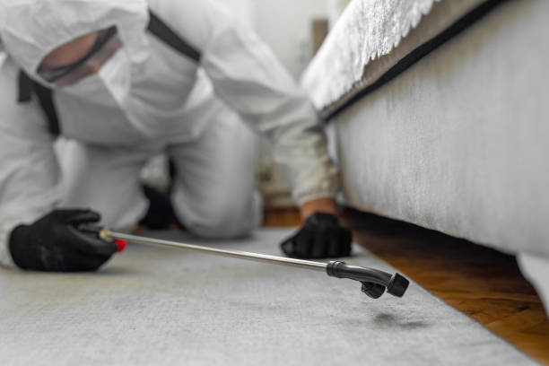 Professional Termite Control technician working in Cisco, TX